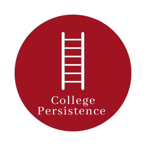 College Persistence  Icon with link
