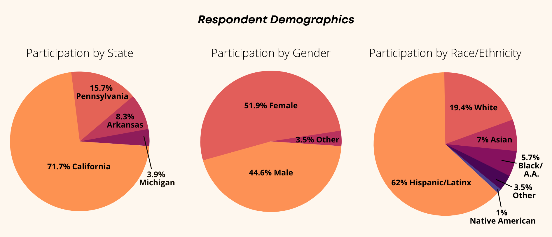 Demographics Graph