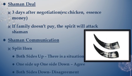 Shaman deal: 3 days negotiation (chicken, essence, money). If family doesn't pay, the spirit will attack the shaman. Shaman communication: Split horn. Both sides up means there is a situation. One up one down means agreement. Both sides down means disagreement.
