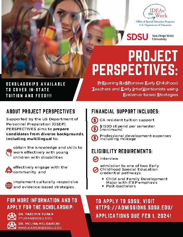 Project Perspectives flyer